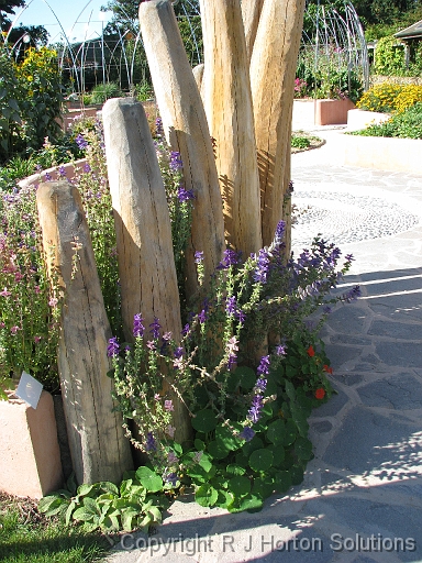 Biodynamic Garden_3